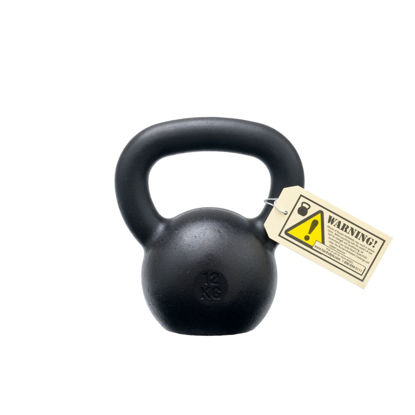 Bild von 12kg Dragon Door Military Grade RKC Kettlebell