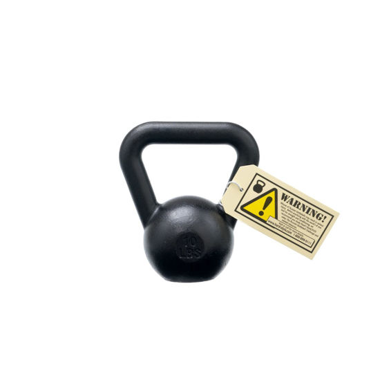 Bild von 4kg (10lbs) Dragon Door Military Grade RKC Kettlebell